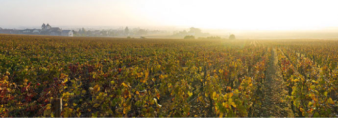 Bonnes-Mares Grand Cru