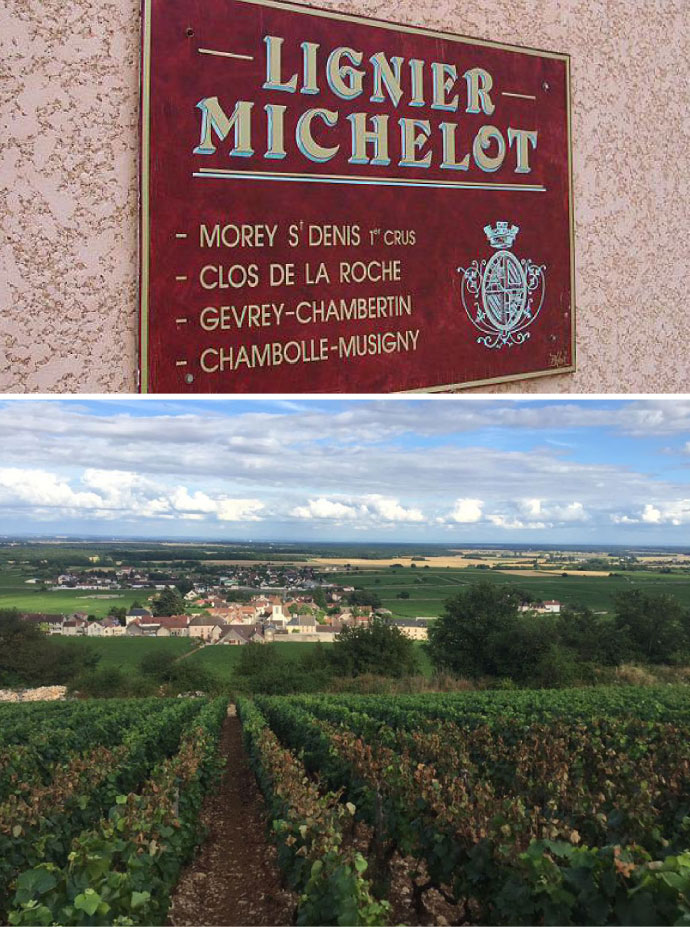 Domaine Lignier-Michelot