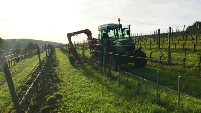 Domaine Aurélien Verdet