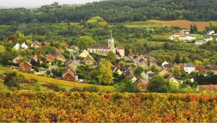 Domaine Aurélien Verdet