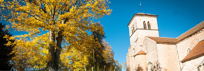 Domaine Henri Magnien