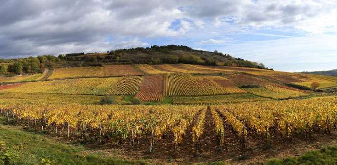 Domaine Hubert Lamy