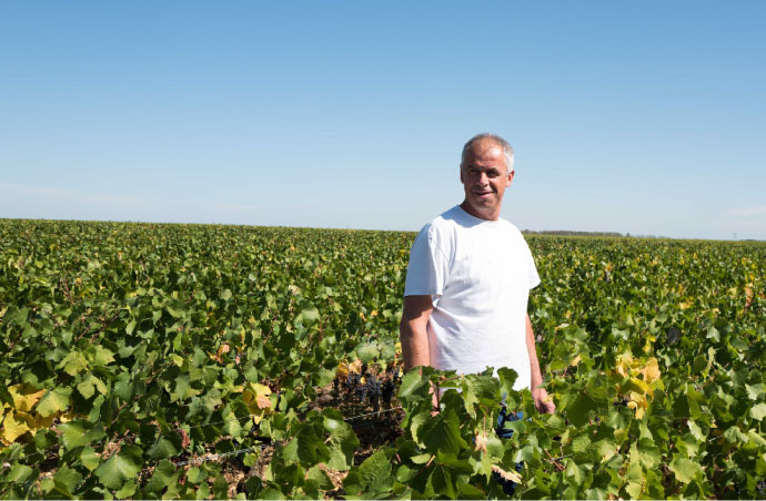 Domaine Robert Chevillon