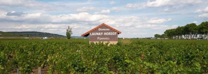 Domaine Launay-Horiot