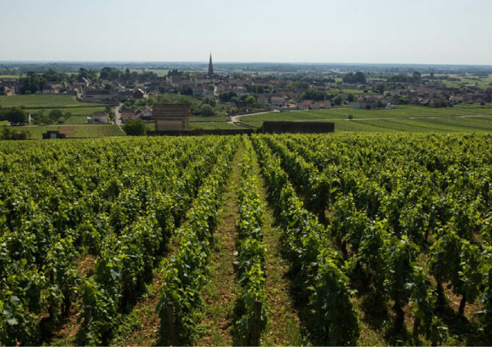 Domaine Arnaud Ente