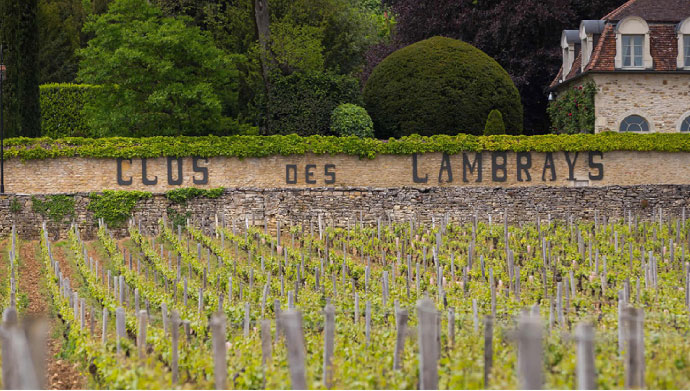 Domaine des Lambrays