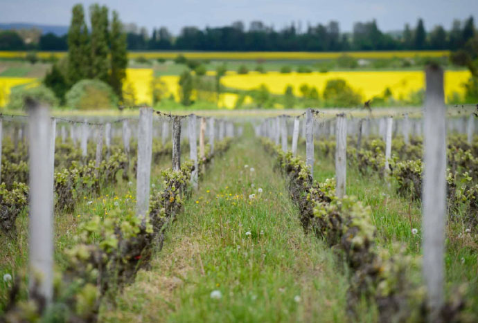 Domaine Gros Frère et Sœur