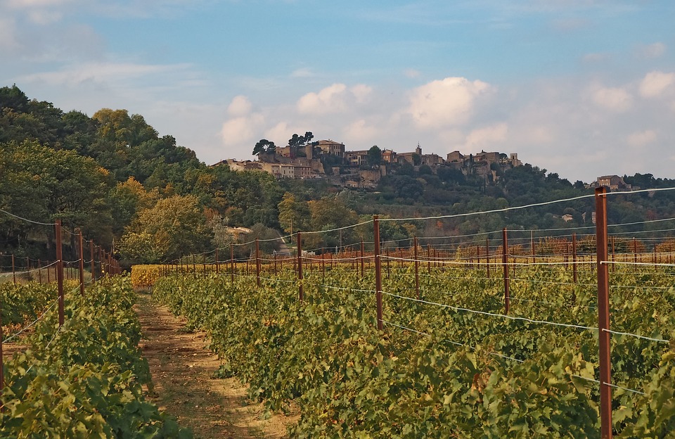 Coteaux Bourguignons Wine