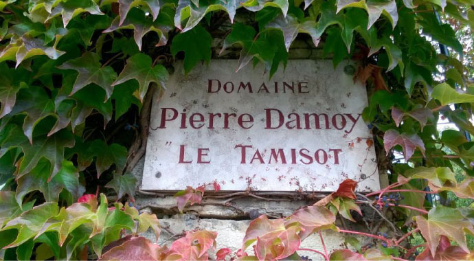 Domaine Pierre Damoy