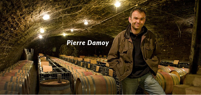 Domaine Pierre Damoy