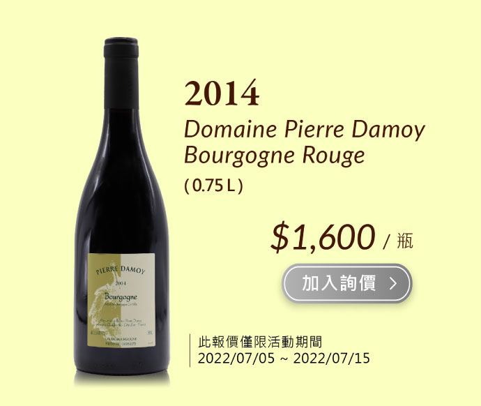 2014 Domaine Pierre Damoy Bourgogne Rouge