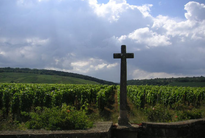 Domaine Coudray-Bizot