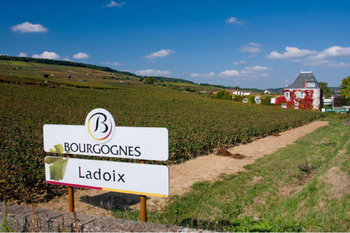 Ladoix Wine