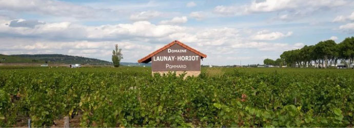 Domaine Launay-Horiot