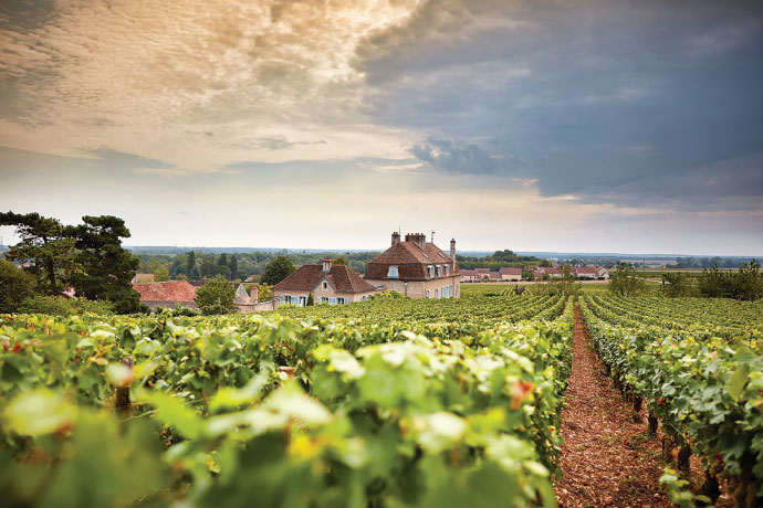 Domaine de l'Arlot