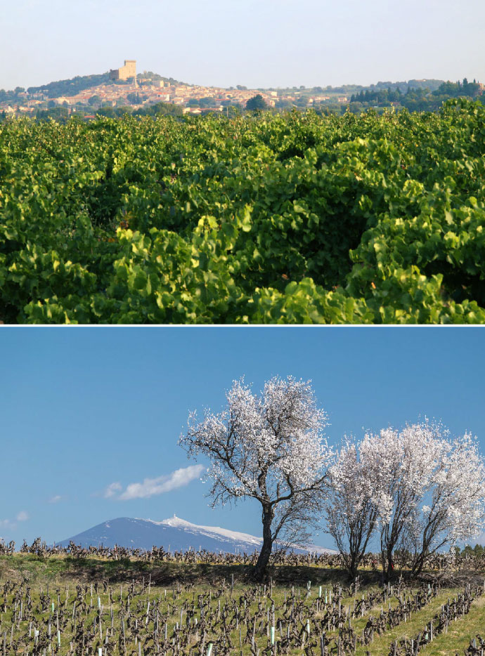 Domaine de Marcoux