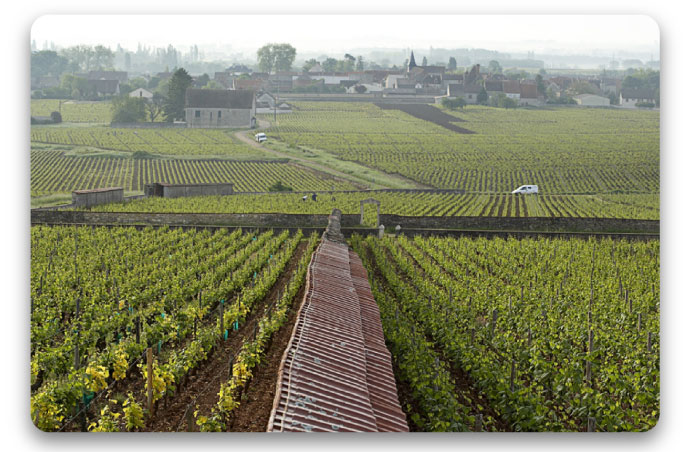 Puligny-Montrachet 1er Cru Les Folatières