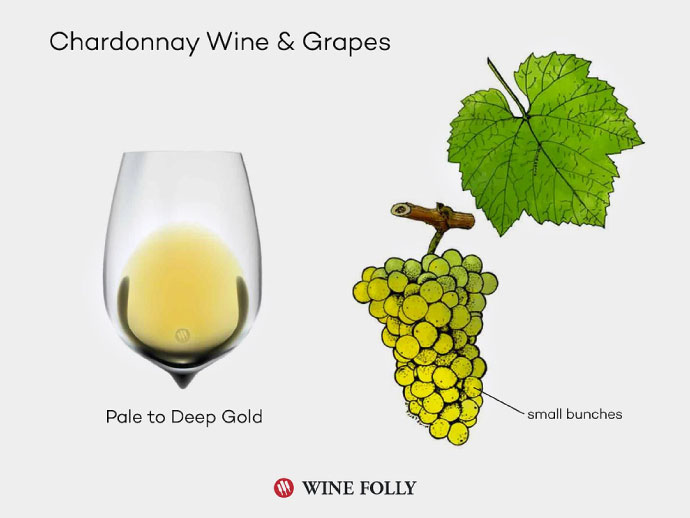 Chardonnay