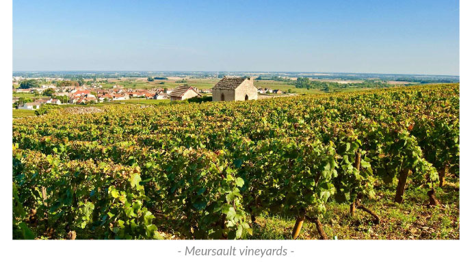 Meursault