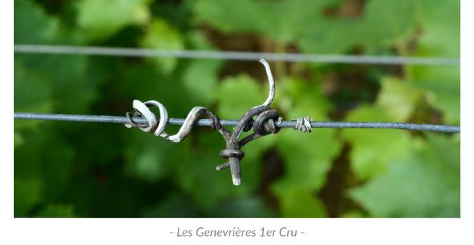 Les Genevrières 1er Cru