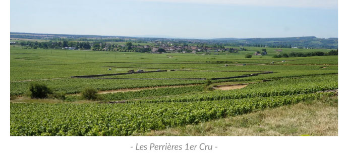 Les Perrières 1er Cru