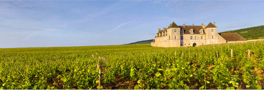 Clos de Vougeot