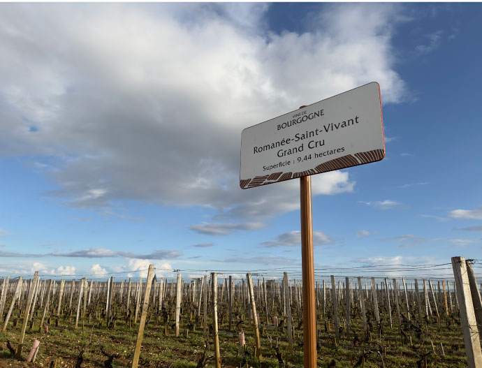 Romanée-Saint-Vivant Grand Cru